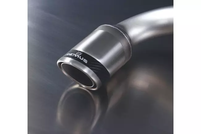 Remus Sport Auspuffanlage für BMW 1er F20 F21, 114i 116i 118i, 2011-2019 Endrohre Carbon Race 2 x 84mm