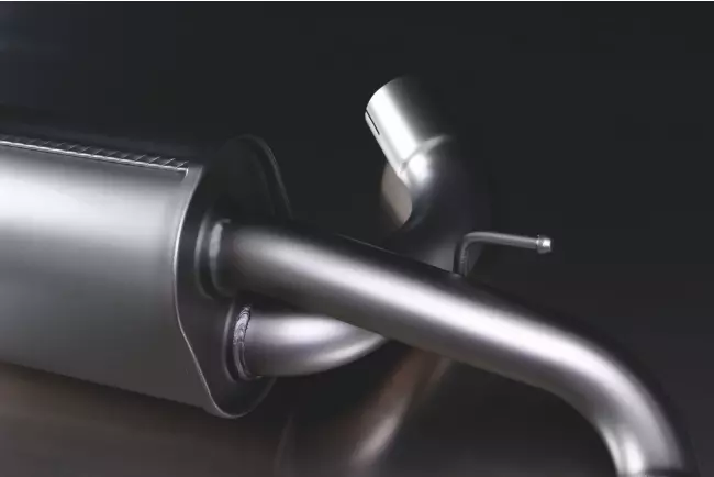 Remus Sport Auspuffanlage für BMW 1er F20 F21, 114i 116i 118i, 2011-2019 Endrohre Carbon Race 2 x 84mm