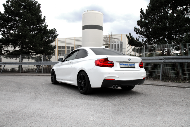 Eisenmann Edelstahl Klappenauspuff für BMW 2er 230i...
