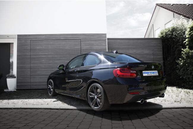 Eisenmann Edelstahl Klappenauspuff für BMW 2er M240i...
