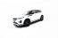 Maxton Design Seitenschweller (Paar) für Land Rover Range Rover Evoque Dynamic Mk2 Hochglanz schwarz